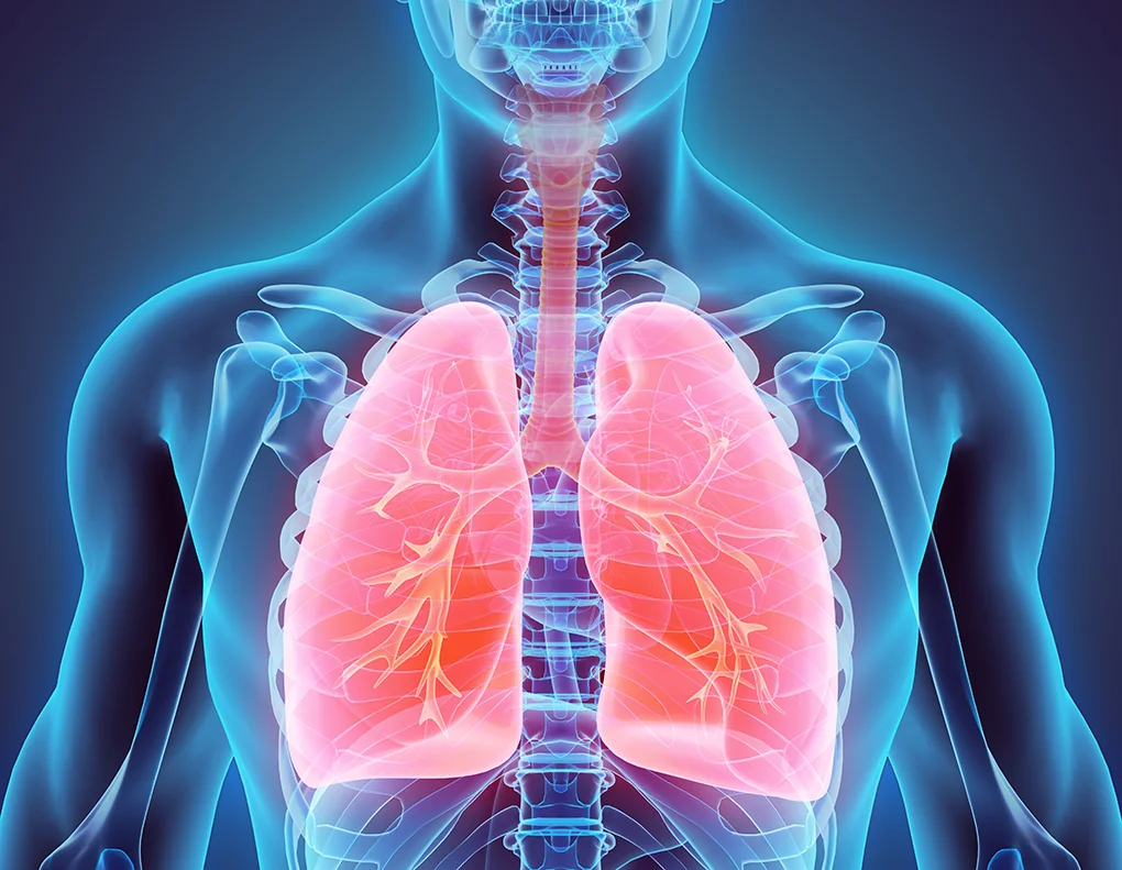 Adrian Pick | Cardiothoracic Surgeon | Melbourne