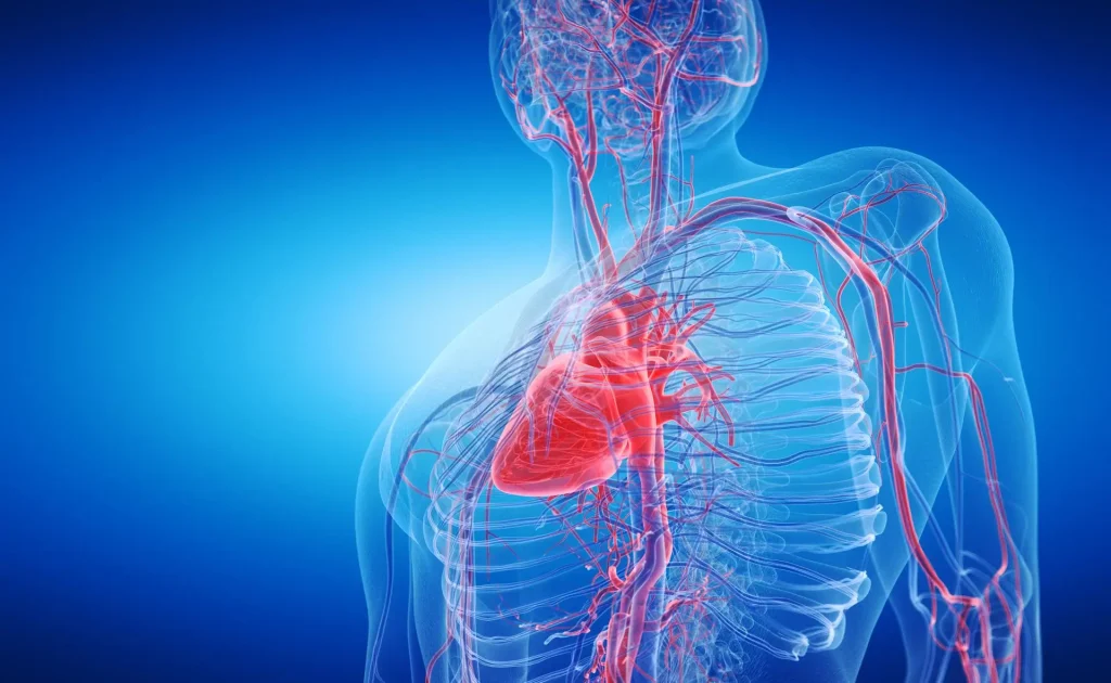 Adrian Pick | Cardiothoracic Surgeon | Melbourne