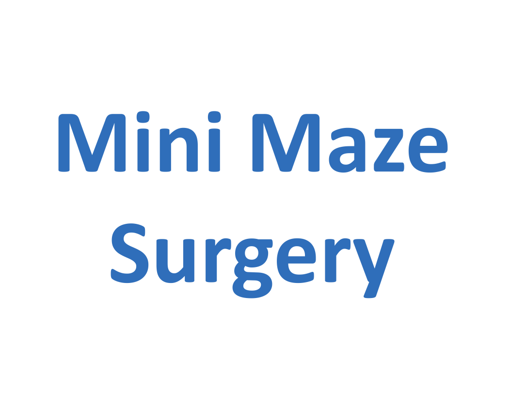 Mini Maze Surgery