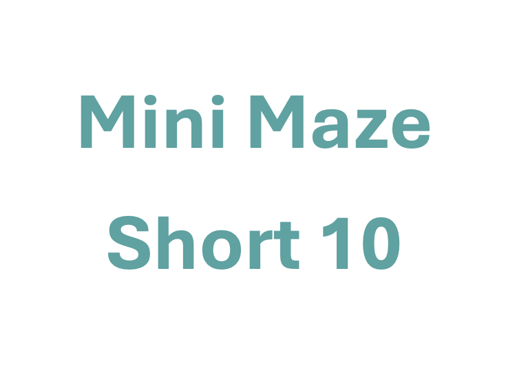 Mini Maze Short 10